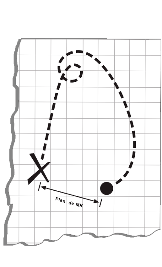 Taller de marketing - Plan de Mk